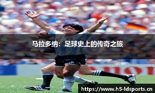 ld乐动体育