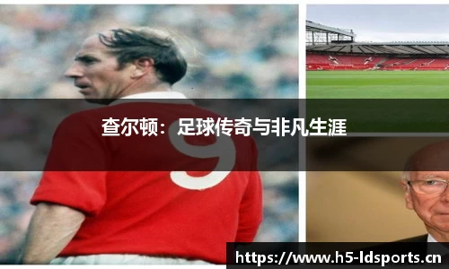 ld乐动体育官网